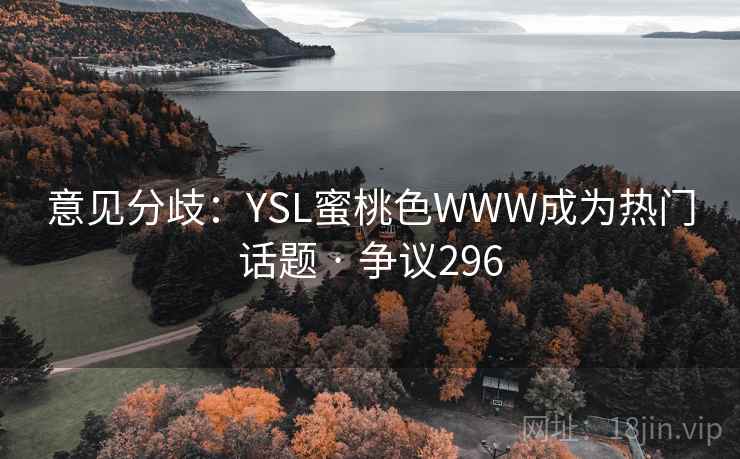 意见分歧：YSL蜜桃色WWW成为热门话题 · 争议296